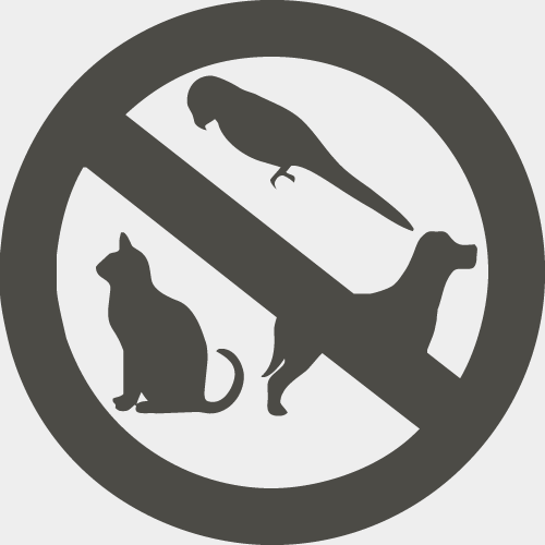 No Pets Allowed