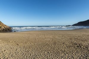 _DSC6865